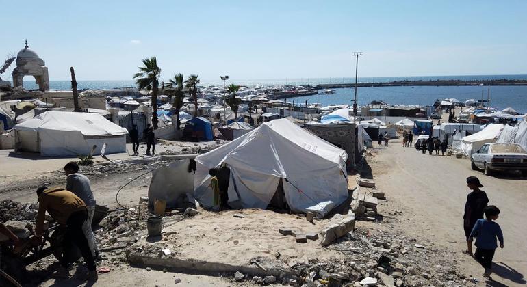 Helpless in the face of hunger: Gaza families pray for deliverance – or death