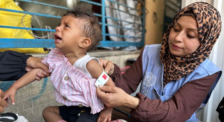 Gazans dying in search of food, ‘starkest illustration’ of their desperation