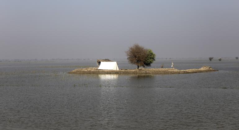 Pakistan reels under monsoon deluge as death toll climbs