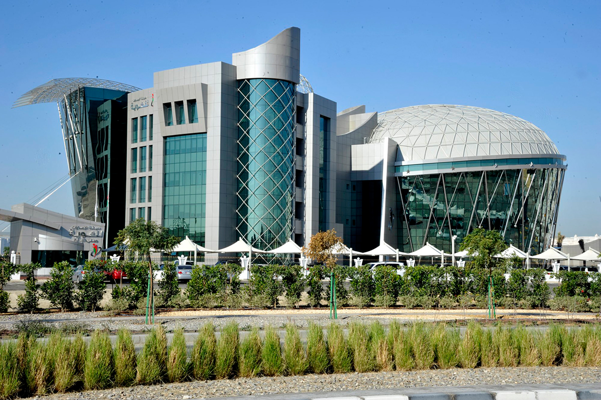 UAE Federal Authority warns against fake immigration services on social media