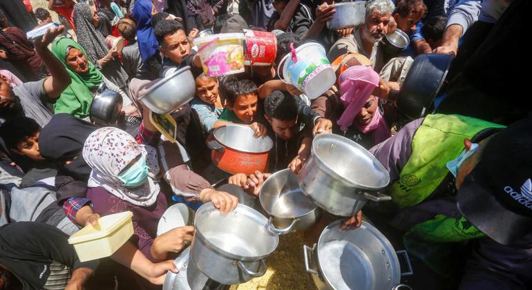Gaza Strip: Humanitarians warn of worsening famine conditions, attacks on civilians