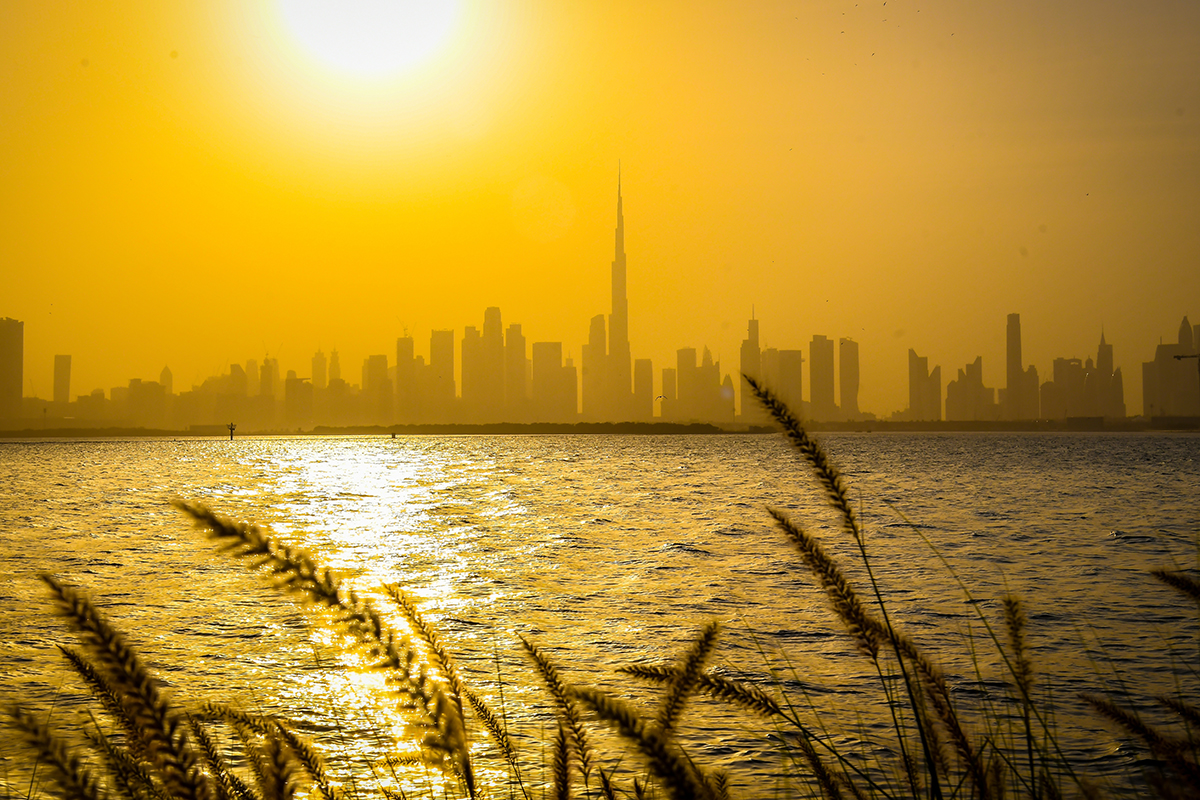 Dubai real estate: Property market records 10% annual growth despite August dip