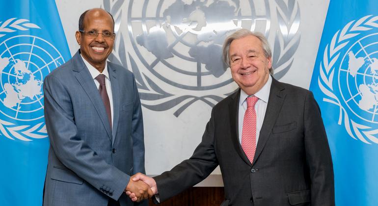 UN and African Union vow closer action for peace and development