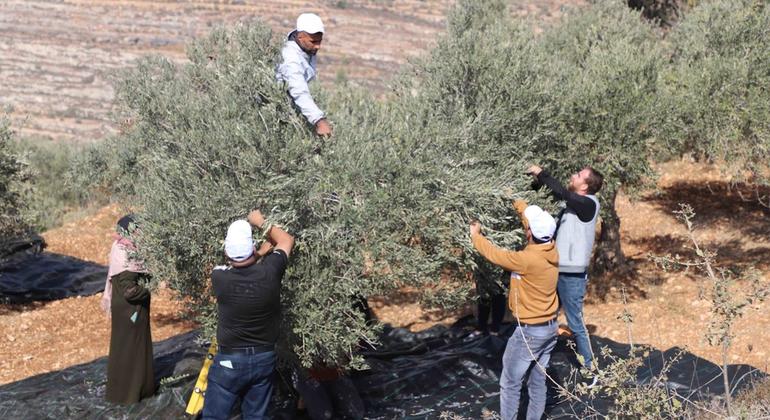 Crackdown on Palestinian civil society is reaching alarming levels, warns UN human rights office