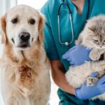 Abu Dhabi pet owners take note…regulatory changes made to veterinary practices